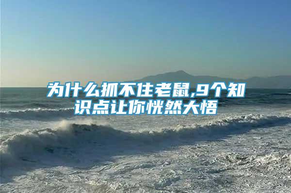 為什么抓不住老鼠,9個知識點讓你恍然大悟