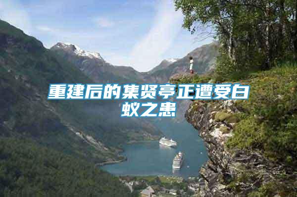 重建后的集賢亭正遭受白蟻之患