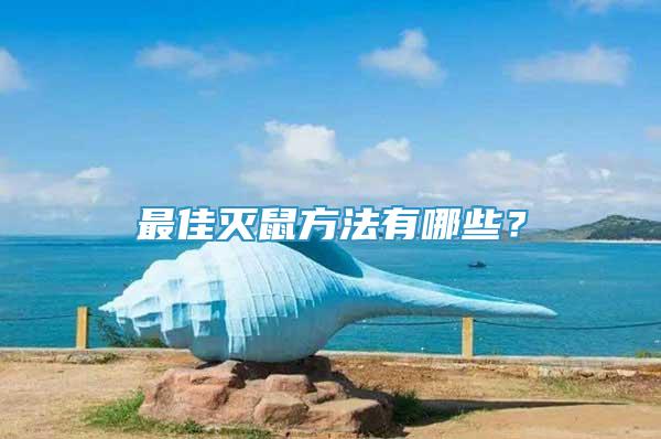 最佳滅鼠方法有哪些？