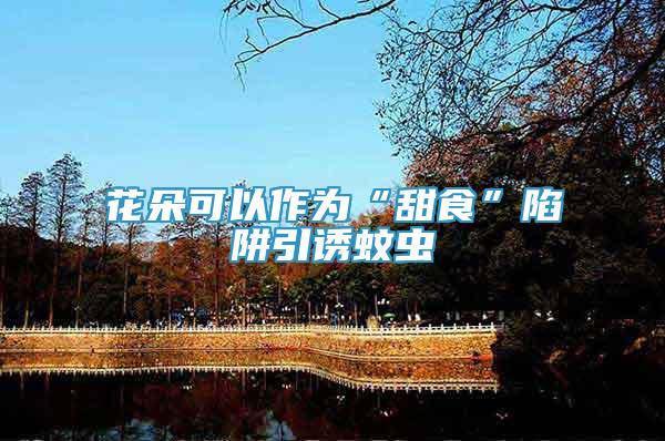 花朵可以作為“甜食”陷阱引誘蚊蟲