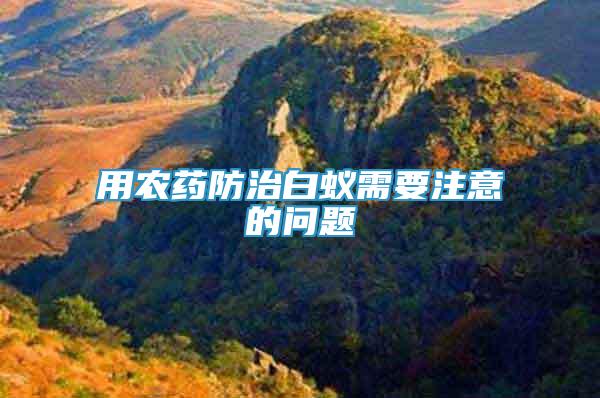 用農(nóng)藥防治白蟻需要注意的問題