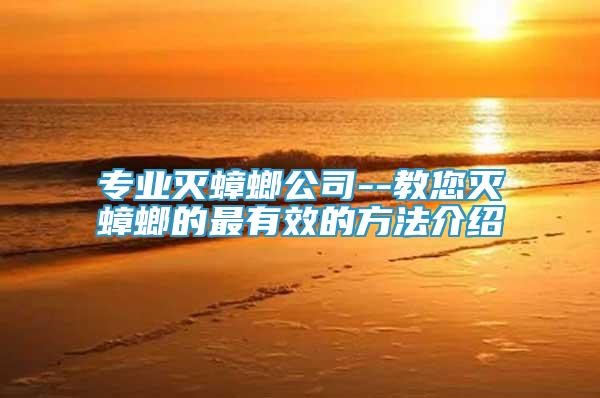 專業(yè)滅蟑螂公司--教您滅蟑螂的最有效的方法介紹