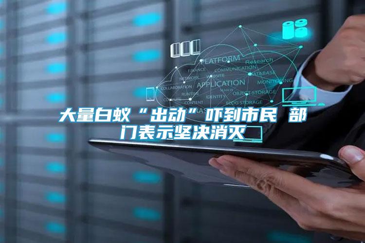 大量白蟻“出動(dòng)”嚇到市民 部門表示堅(jiān)決消滅