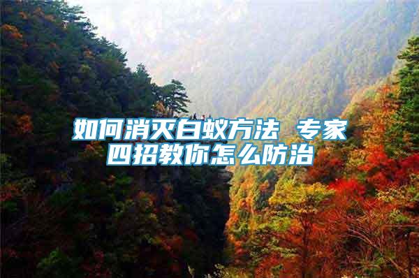 如何消滅白蟻方法 專家四招教你怎么防治