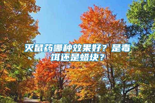 滅鼠藥哪種效果好？是毒餌還是蠟塊？