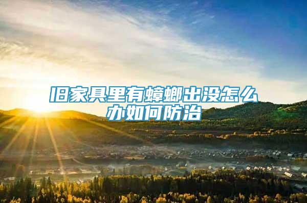 舊家具里有蟑螂出沒怎么辦如何防治