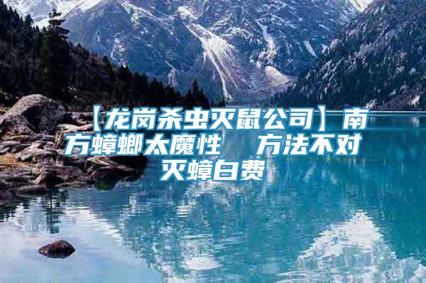 【龍崗殺蟲滅鼠公司】南方蟑螂太魔性  方法不對滅蟑白費(fèi)