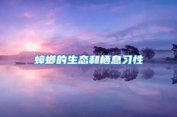 蟑螂的生態(tài)和棲息習(xí)性