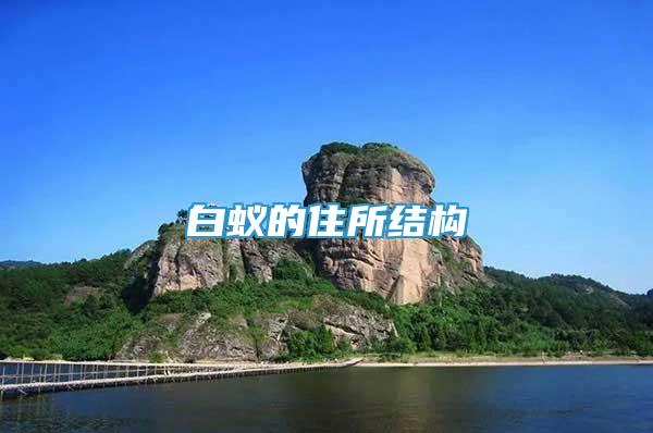 白蟻的住所結(jié)構(gòu)