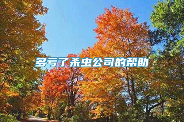 多虧了殺蟲公司的幫助