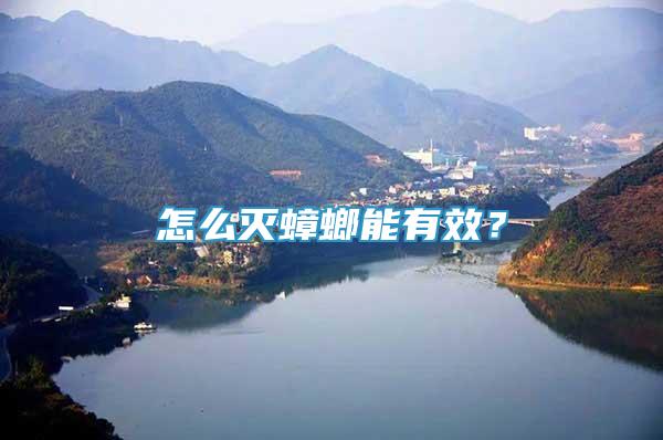 怎么滅蟑螂能有效？