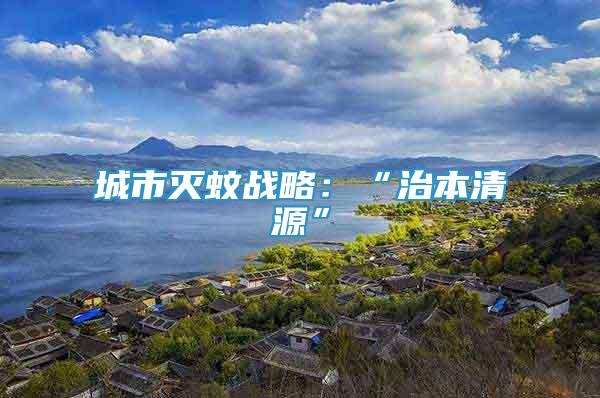城市滅蚊戰(zhàn)略：“治本清源”