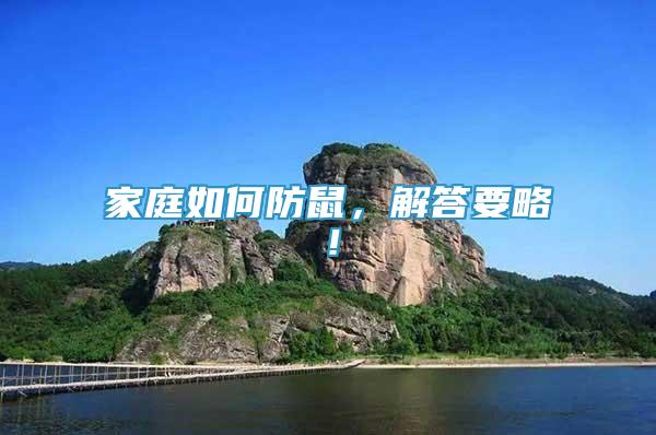 家庭如何防鼠，解答要略！