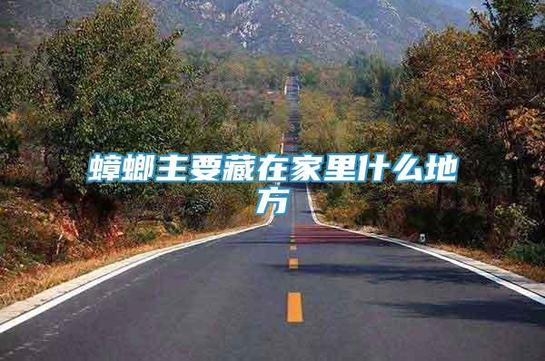 蟑螂主要藏在家里什么地方
