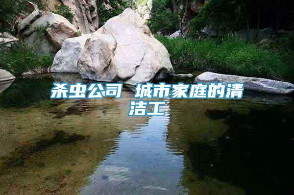 殺蟲公司 城市家庭的清潔工