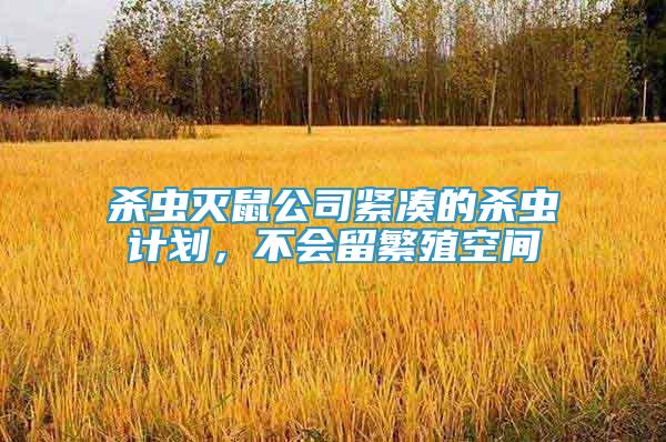 殺蟲滅鼠公司緊湊的殺蟲計(jì)劃，不會(huì)留繁殖空間