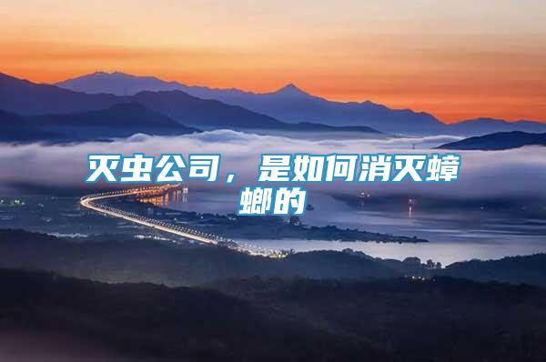 滅蟲公司，是如何消滅蟑螂的