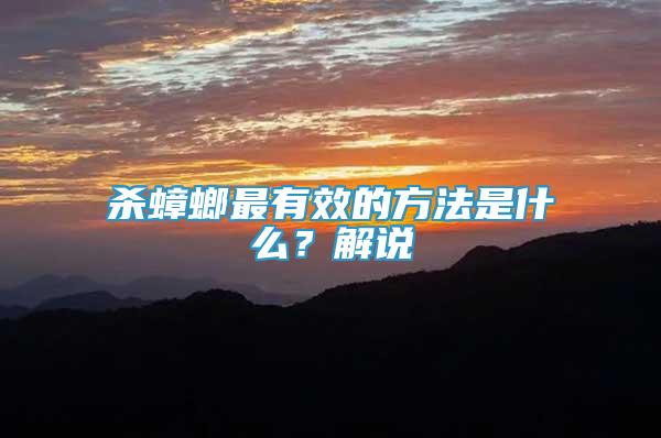 殺蟑螂最有效的方法是什么？解說(shuō)