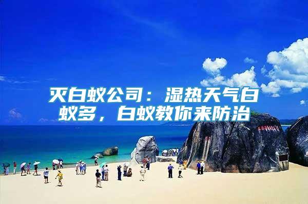 滅白蟻公司：濕熱天氣白蟻多，白蟻教你來防治