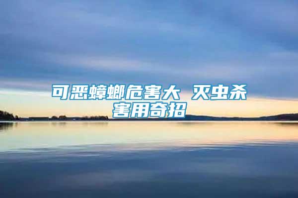 可惡蟑螂危害大 滅蟲殺害用奇招