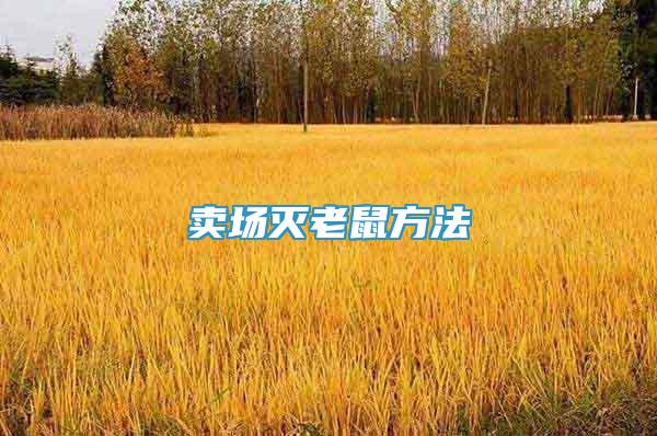 賣場(chǎng)滅老鼠方法