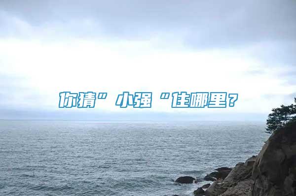 你猜”小強“住哪里？