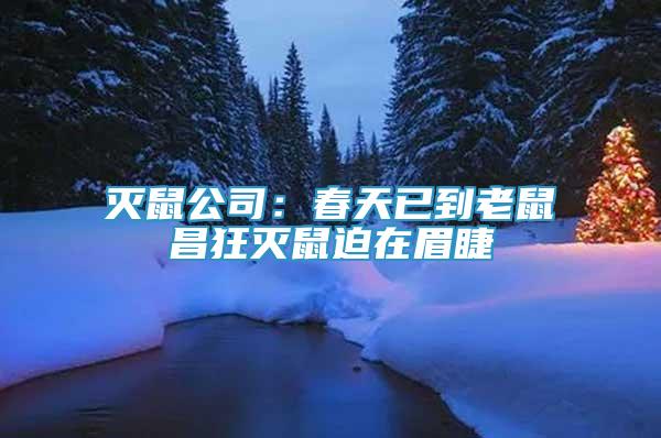 滅鼠公司：春天已到老鼠昌狂滅鼠迫在眉睫