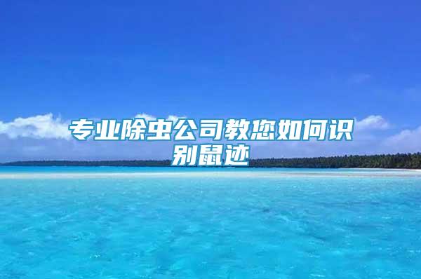 專業(yè)除蟲公司教您如何識(shí)別鼠跡