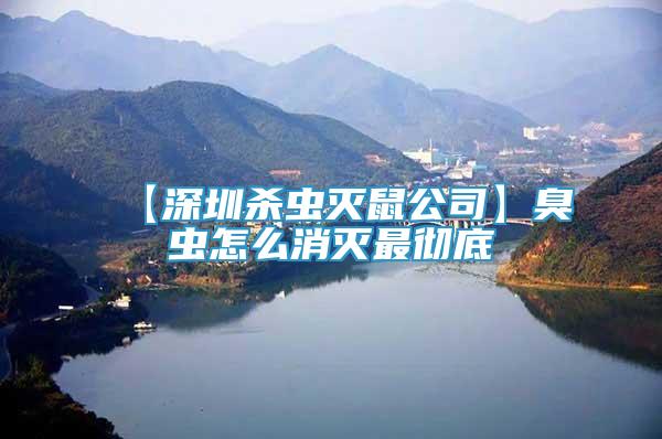 【深圳殺蟲滅鼠公司】臭蟲怎么消滅最徹底