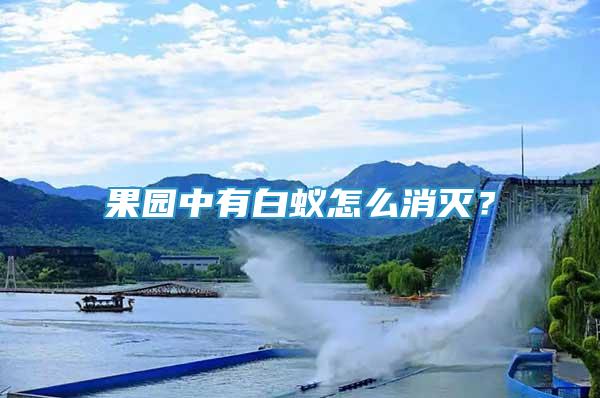 果園中有白蟻怎么消滅？