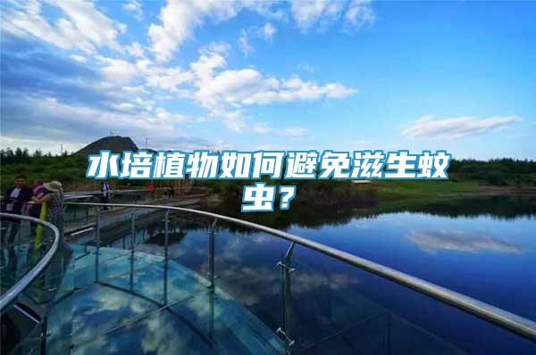 水培植物如何避免滋生蚊蟲？