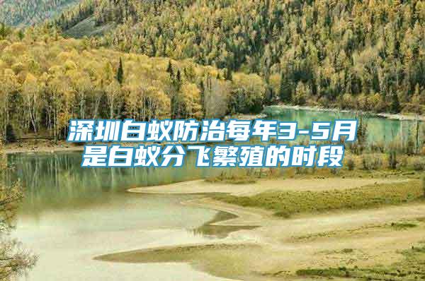 深圳白蟻防治每年3-5月是白蟻分飛繁殖的時段
