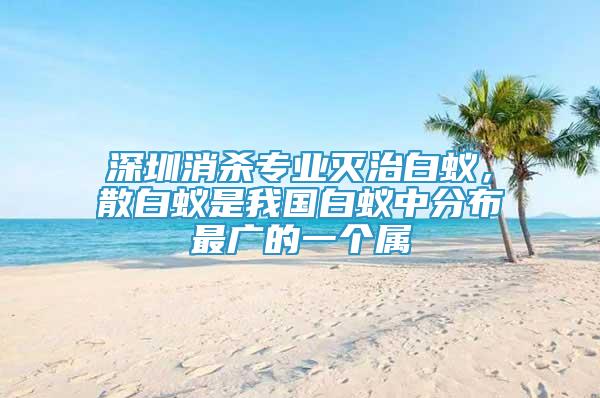 深圳消殺專業(yè)滅治白蟻，散白蟻是我國(guó)白蟻中分布最廣的一個(gè)屬