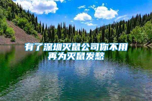有了深圳滅鼠公司你不用再為滅鼠發(fā)愁