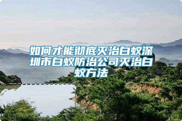 如何才能徹底滅治白蟻深圳市白蟻防治公司滅治白蟻方法