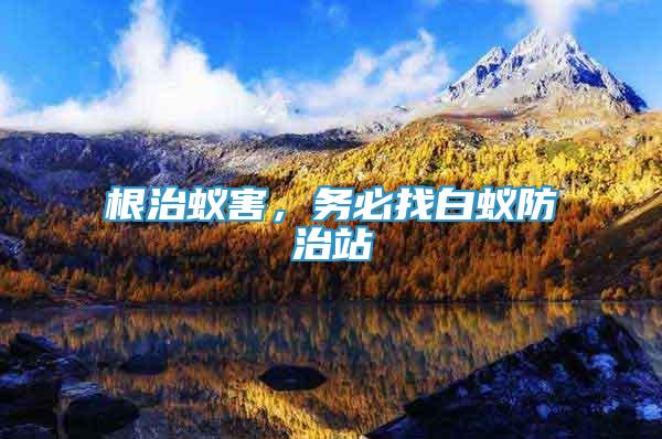 根治蟻害，務必找白蟻防治站
