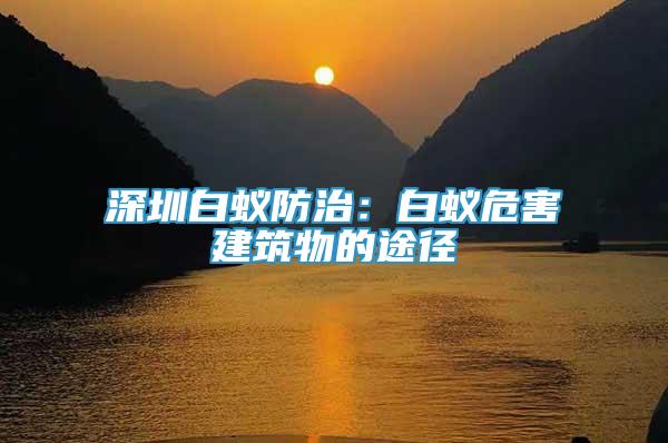 深圳白蟻防治：白蟻危害建筑物的途徑