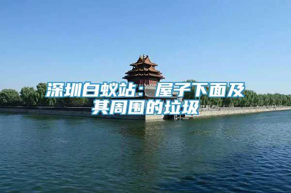 深圳白蟻站：屋子下面及其周圍的垃圾