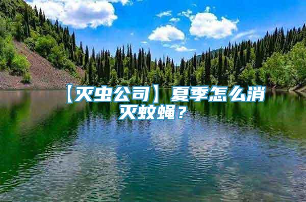 【滅蟲公司】夏季怎么消滅蚊蠅？