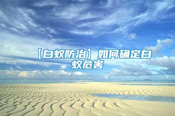 【白蟻防治】如何確定白蟻危害