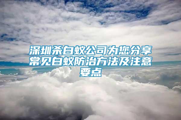 深圳殺白蟻公司為您分享常見白蟻防治方法及注意要點