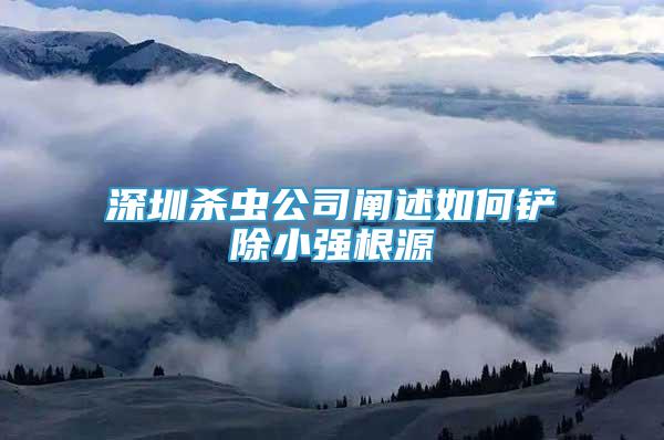 深圳殺蟲(chóng)公司闡述如何鏟除小強(qiáng)根源