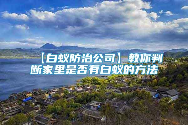 【白蟻防治公司】教你判斷家里是否有白蟻的方法
