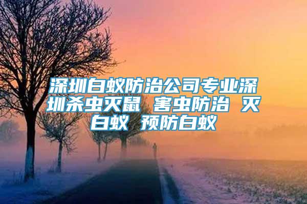 深圳白蟻防治公司專業(yè)深圳殺蟲滅鼠 害蟲防治 滅白蟻 預(yù)防白蟻