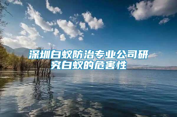 深圳白蟻防治專業(yè)公司研究白蟻的危害性