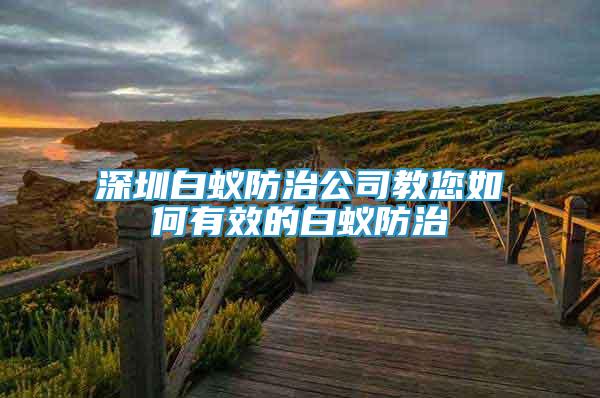 深圳白蟻防治公司教您如何有效的白蟻防治