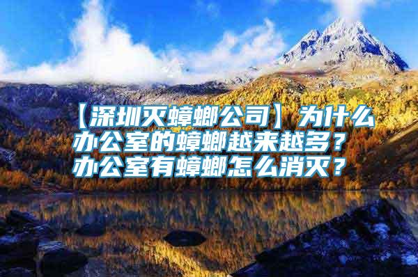 【深圳滅蟑螂公司】為什么辦公室的蟑螂越來越多？辦公室有蟑螂怎么消滅？
