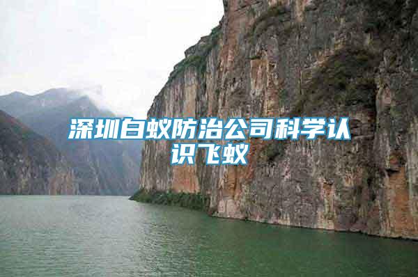 深圳白蟻防治公司科學(xué)認(rèn)識(shí)飛蟻