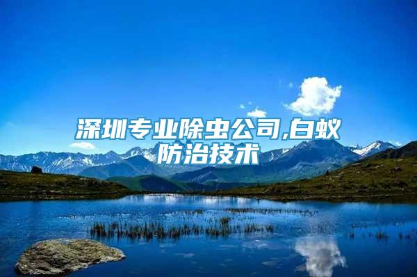 深圳專業(yè)除蟲公司,白蟻防治技術(shù)