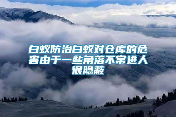 白蟻防治白蟻對倉庫的危害由于一些角落不常進(jìn)人很隱蔽